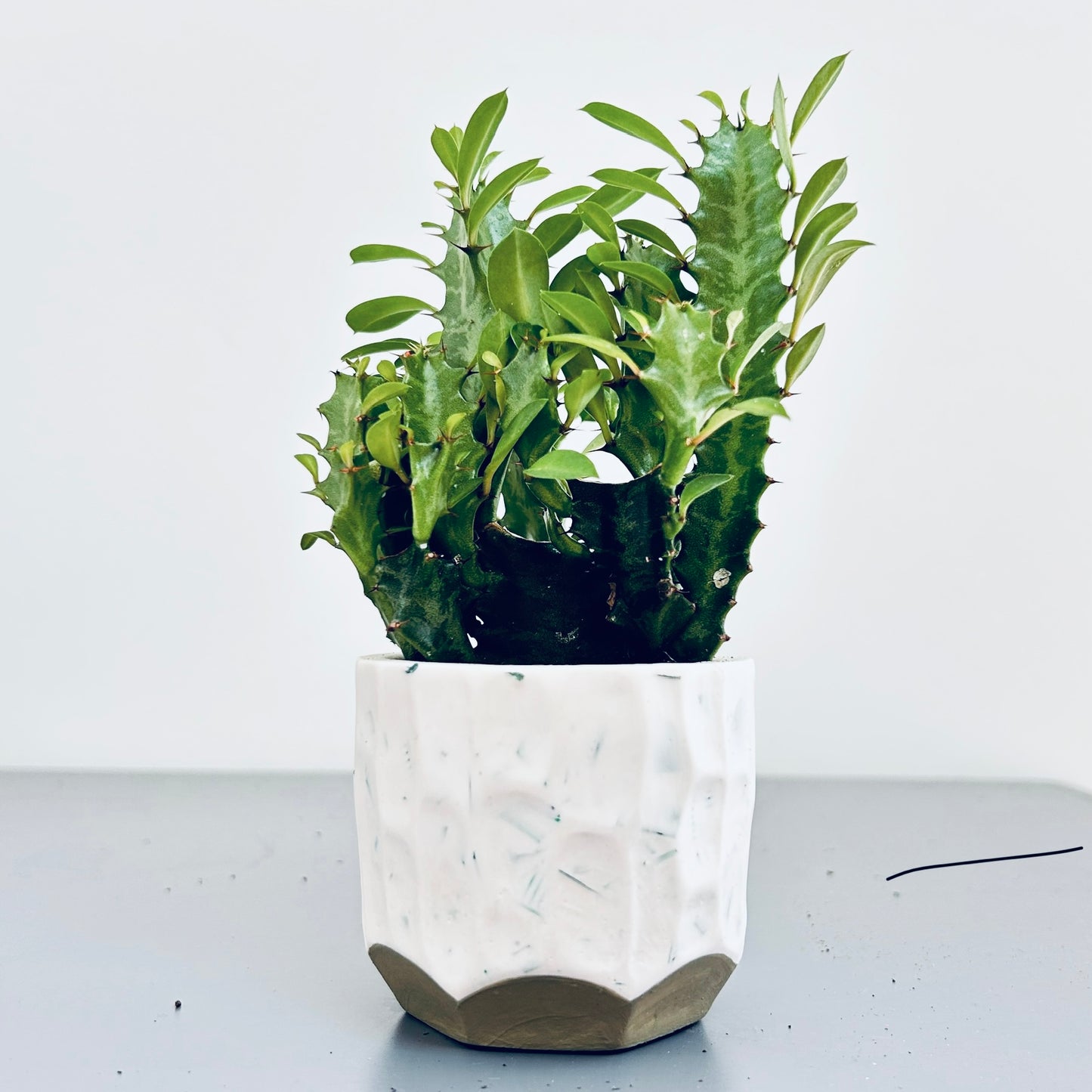 Petit cache-pot en bouchons plastiques et éco-résine VERT OLIVE