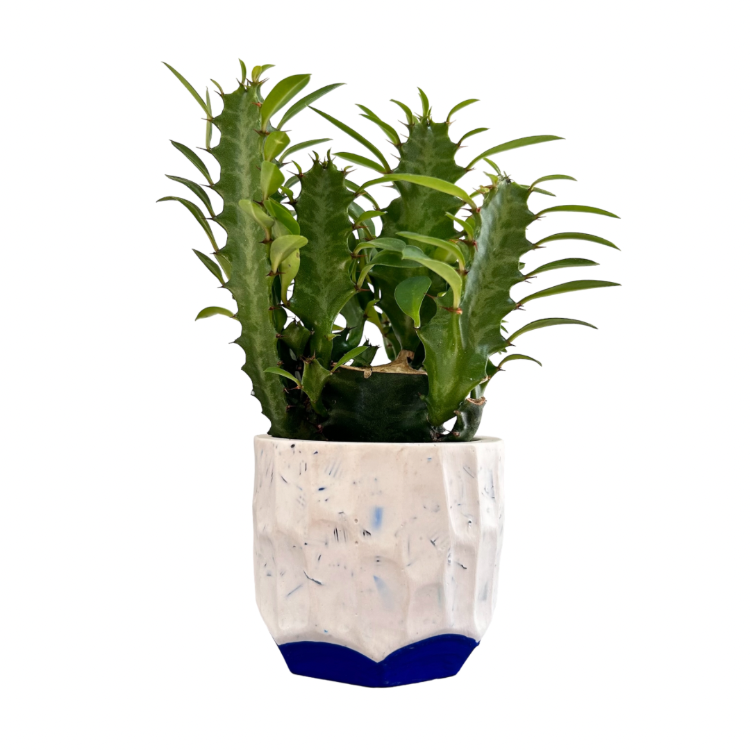 Petit cache-pot en bouchons plastiques et éco-résine VERT OLIVE
