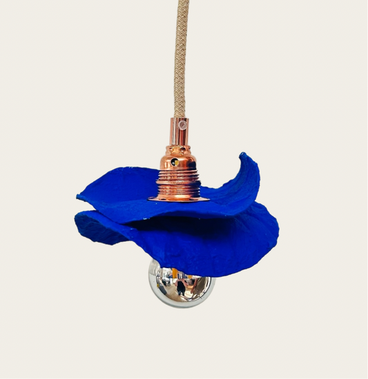Balade Bleu Outremer